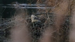 Photo nature
