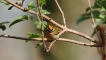 Photo nature