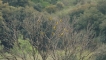 Photo nature