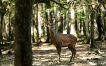 Photo nature