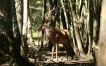 Photo nature