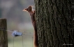 Photo nature