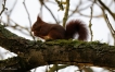Photo nature