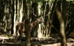 Photo nature