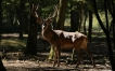 Photo nature