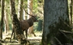Photo nature