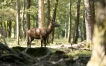 Photo nature