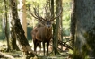 Photo nature