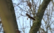Photo nature