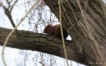 Photo nature