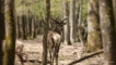 Photo nature