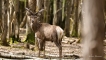 Photo nature