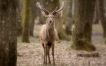 Photo nature