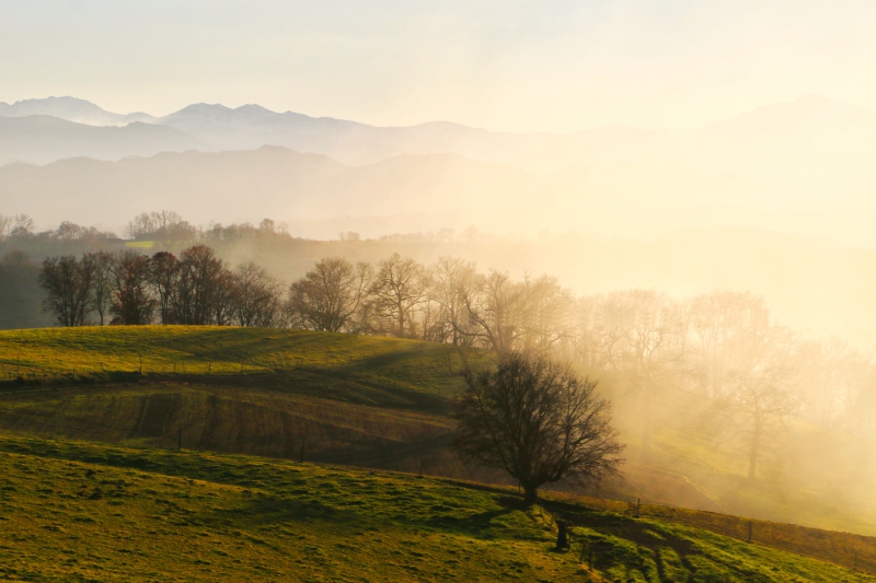 Photo Paysages naturels