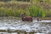 Photo nature