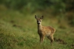 Photo nature