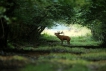 Photo nature