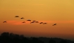 Photo nature