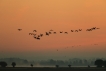 Photo nature