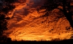 Paysages naturels