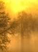 Paysages naturels