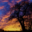 Paysages naturels