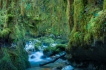 Paysages naturels