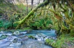 Paysages naturels