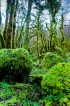 Paysages naturels