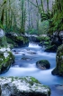 Paysages naturels
