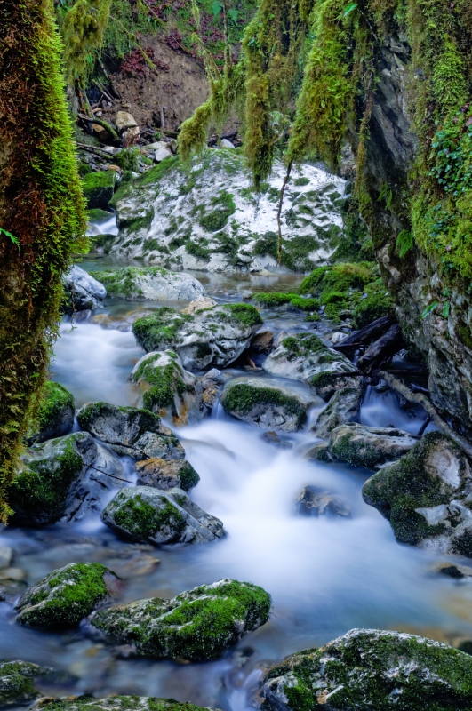 Photo Paysages naturels