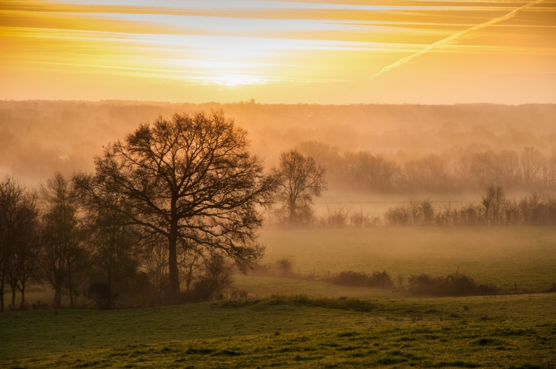 Photo Paysages naturels