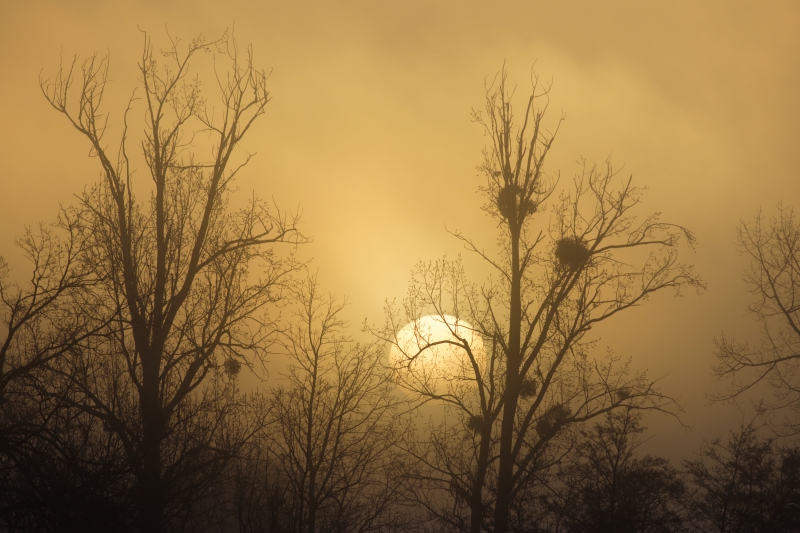 Photo Paysages naturels