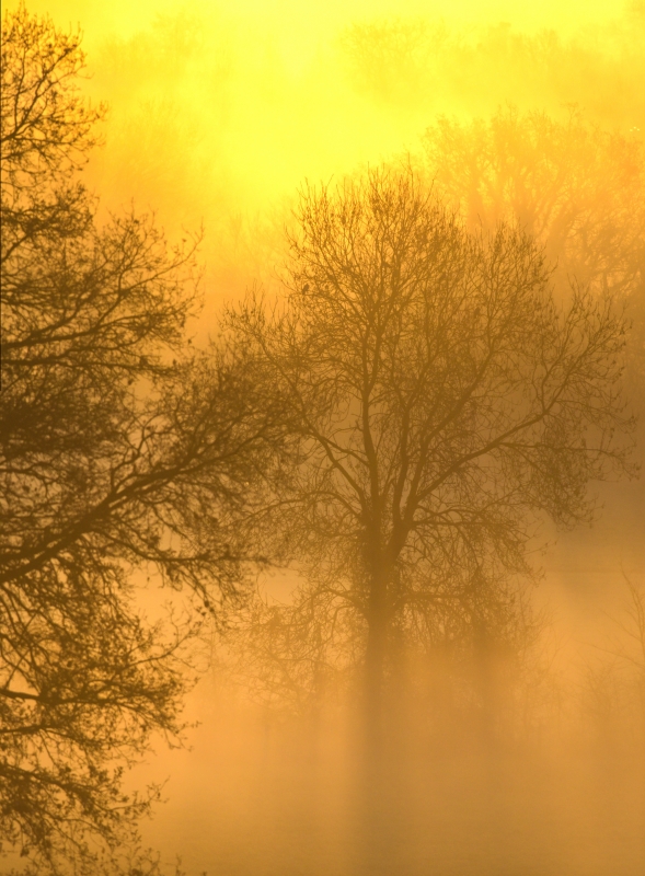 Photo Paysages naturels