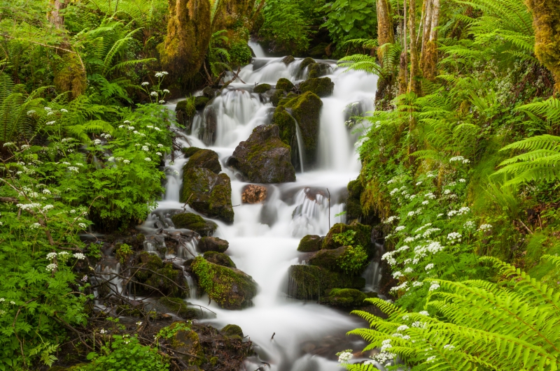 Cascade.jpg
