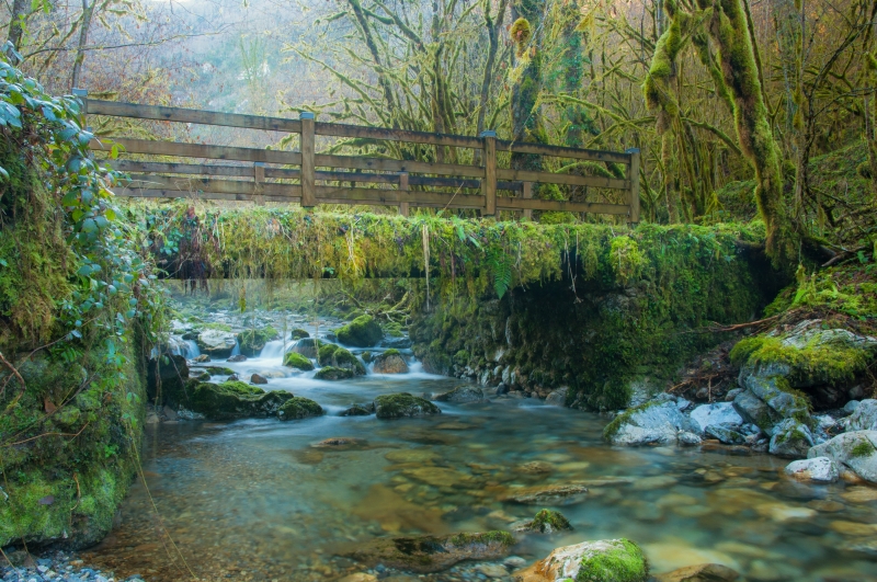 Photo Paysages naturels