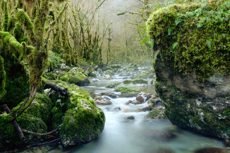 Photo Paysages naturels