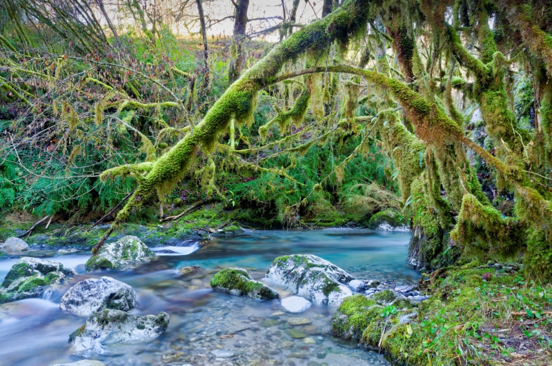 Photo Paysages naturels