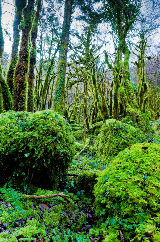 Photo Paysages naturels