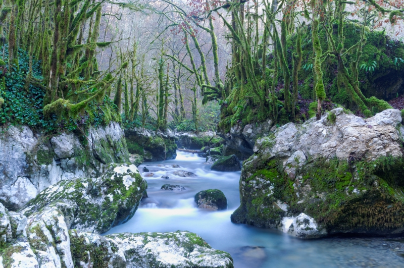 Photo Paysages naturels