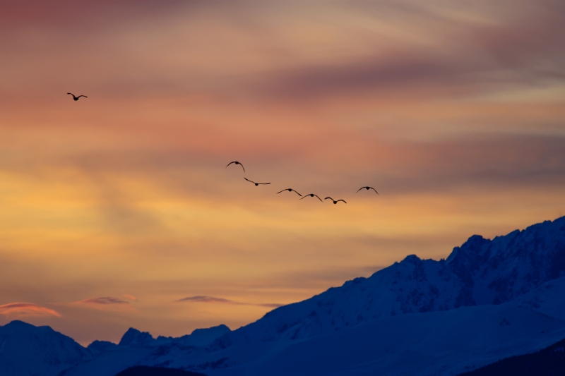 Photo Paysages naturels