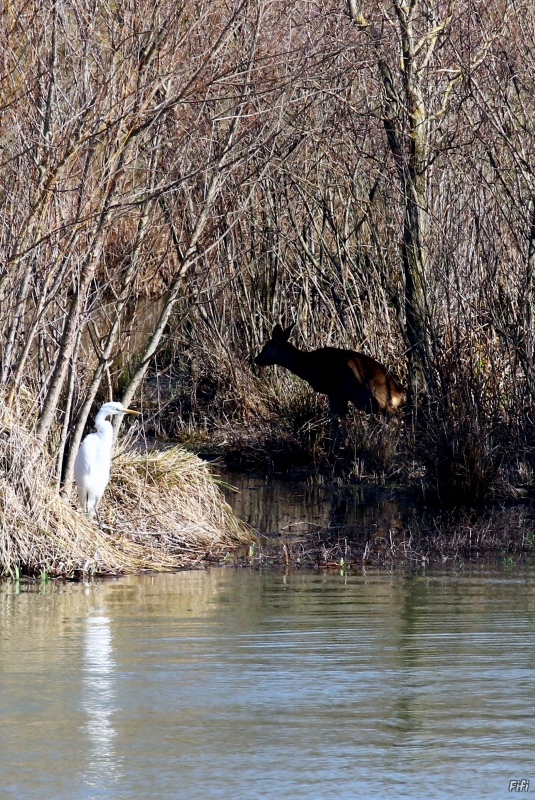 Photo Autres