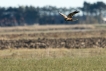 Photo nature