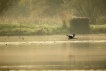 Photo nature