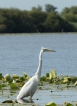 Photo nature