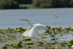 Photo nature