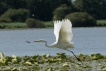 Photo nature