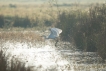Photo nature