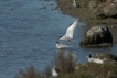 Photo nature