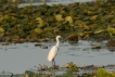 Photo nature